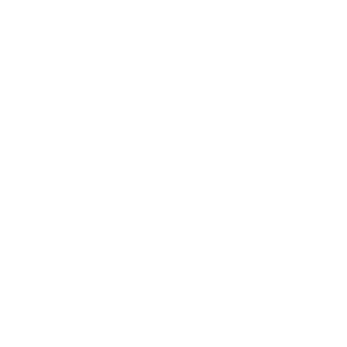 new_logo_SNOW_LEOPARD